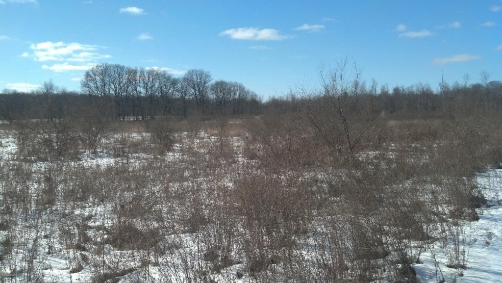 15975 Meddler Ave NE, Cedar Springs, MI 49319 - photo 1