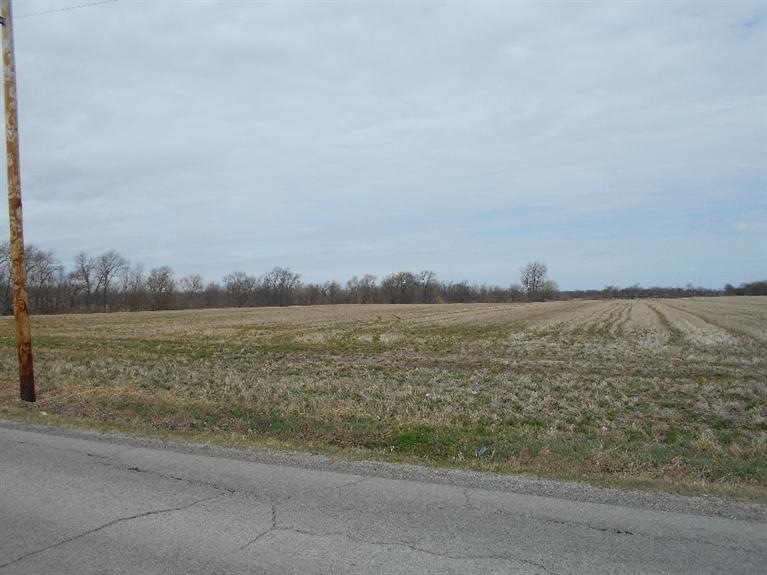 C 151st Ave, Cedar Lake, IN 46303 - photo 1