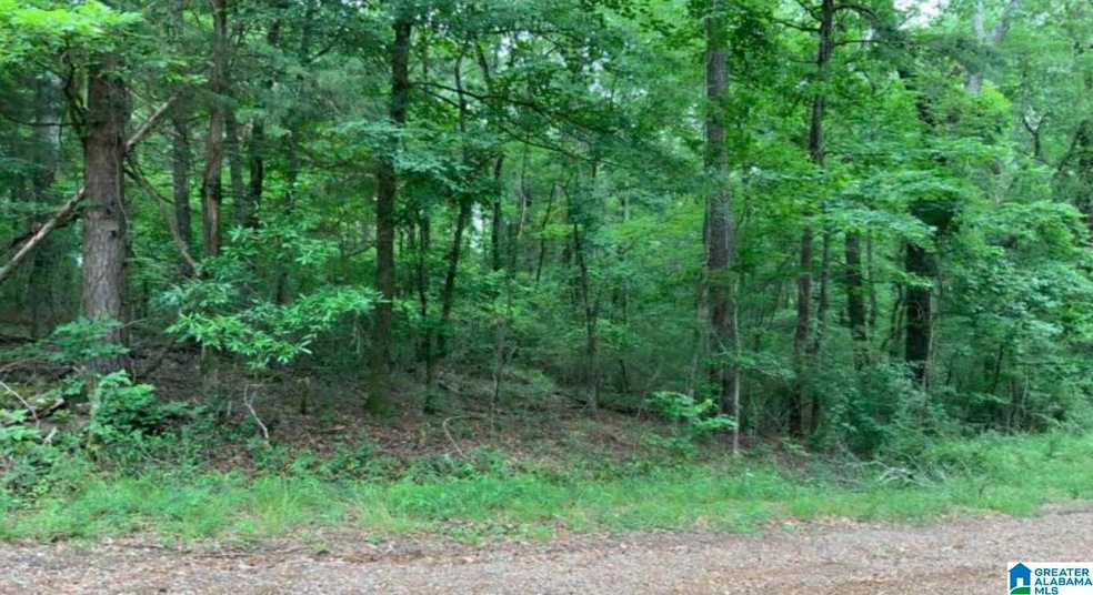 0 14th St unit 9 21431315, Calera, AL 35040 - photo 1