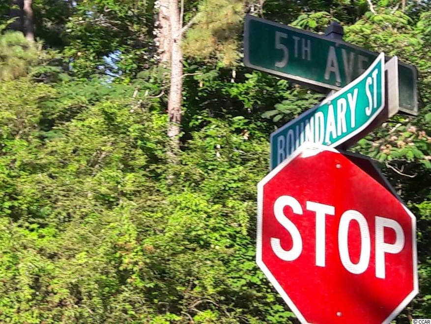 TBD Highway 15 unit Boundary Street/5th, Myrtle Beach, SC 29577 - photo 1