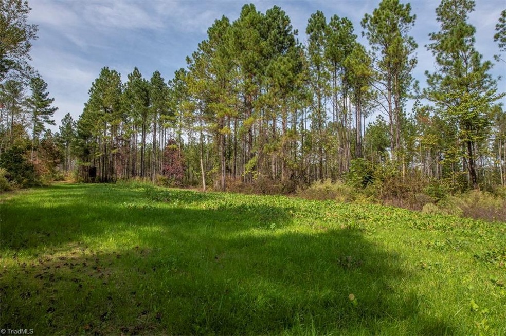 00 Burrell Allen Rd, Denton, NC 27239 - photo 1