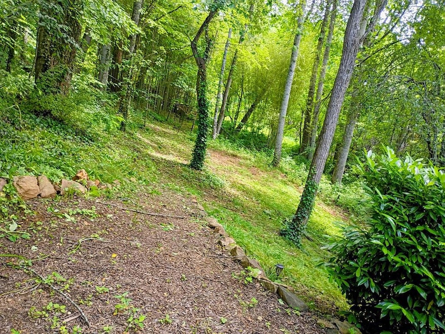 00 Turnaround Trail, Sylva, NC 28779 - photo 1