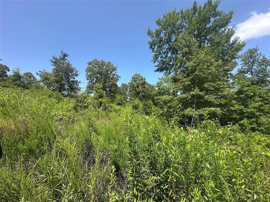 0 E Beachton Rd, Smithville, OK 74957 - photo 1