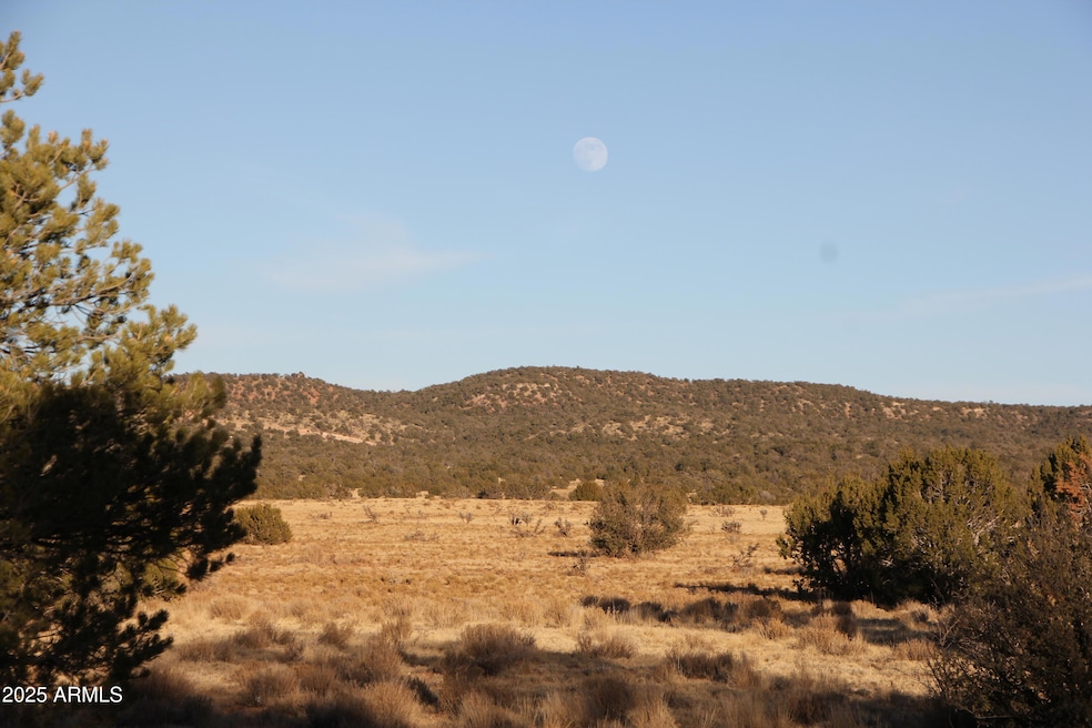 Wrangler Wrangler Ridge Rd unit 30118203, Seligman, AZ 86337 - photo 1