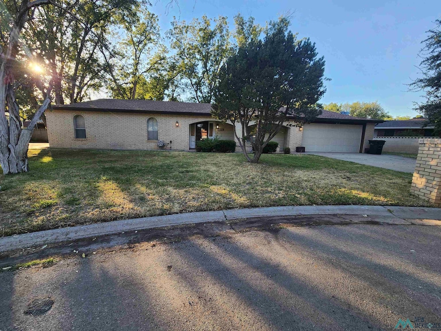 1319 Doepp Dr, Carlsbad, NM 88220 - photo 1