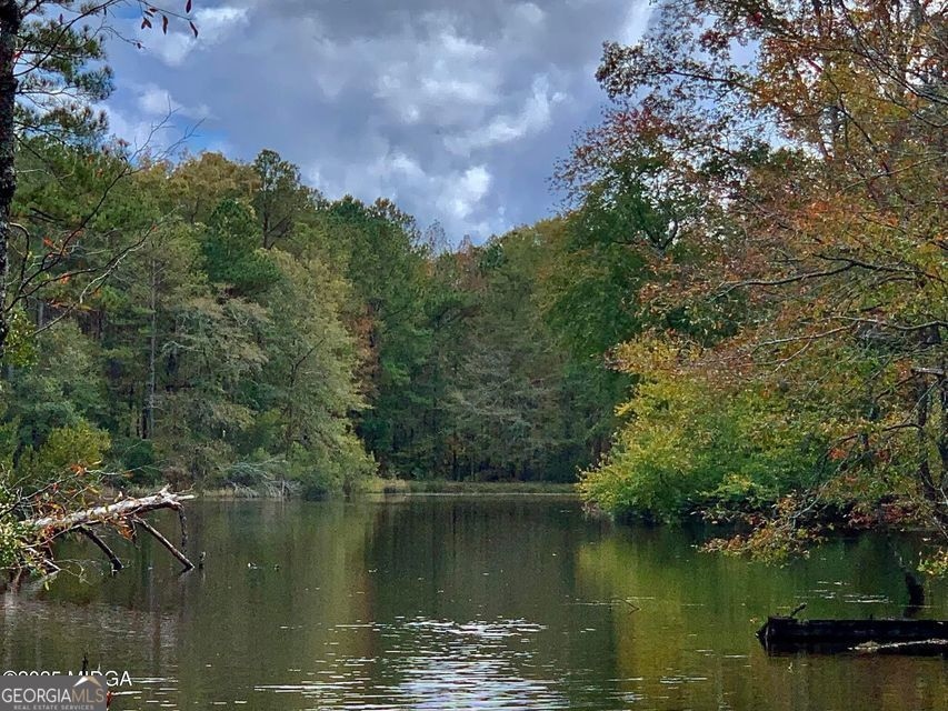 193 Griswoldville Shortcut, Macon, GA 31217 - photo 1