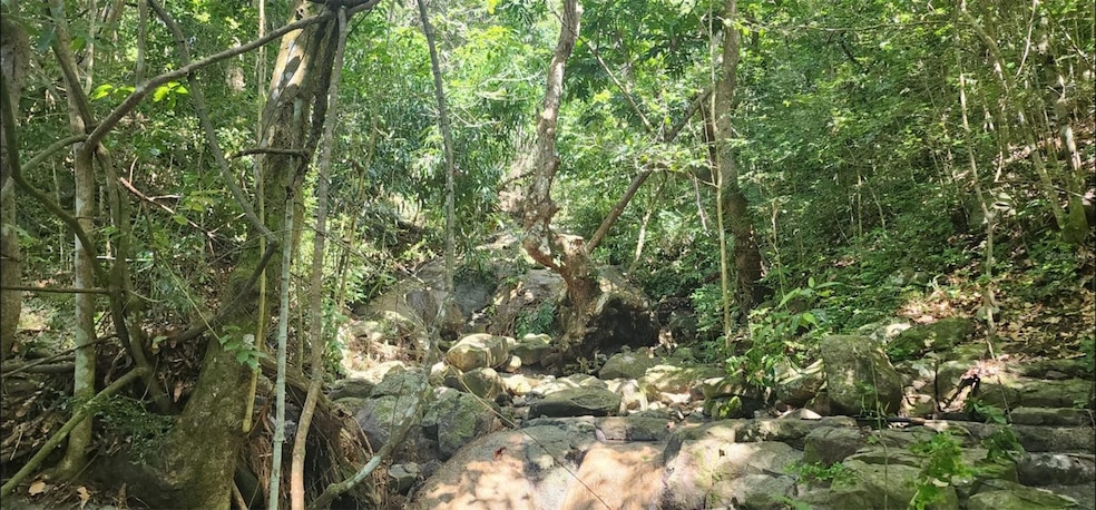 Carr. 412, Km. 4.8 Calle Pascual Nieves Bo Calvache, Rincon, PR 00677 - photo 1