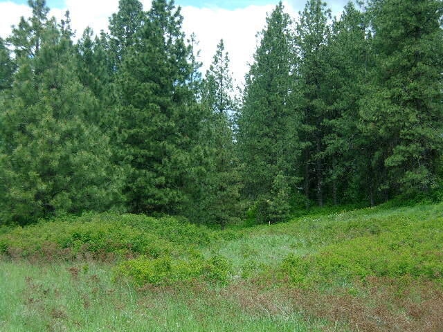 For Sale $159,000