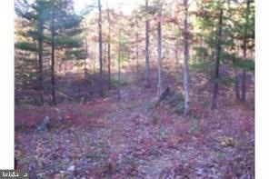 0 0 unit VASH2006238, New Market, VA 22844 - photo 1