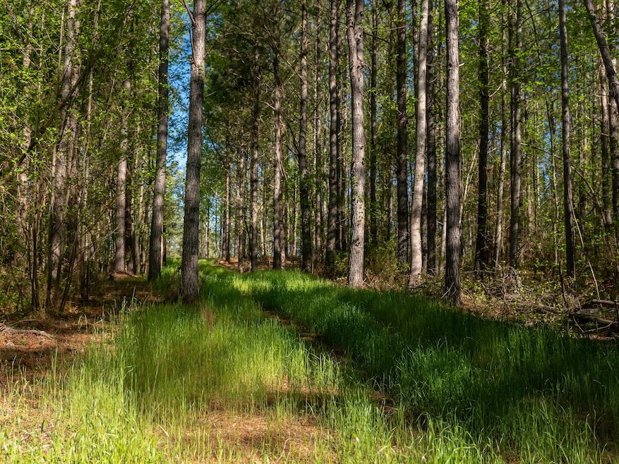0 Mill Pine Rd, Liberty, SC 29657 - photo 1