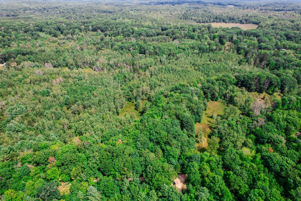 DJI_0385