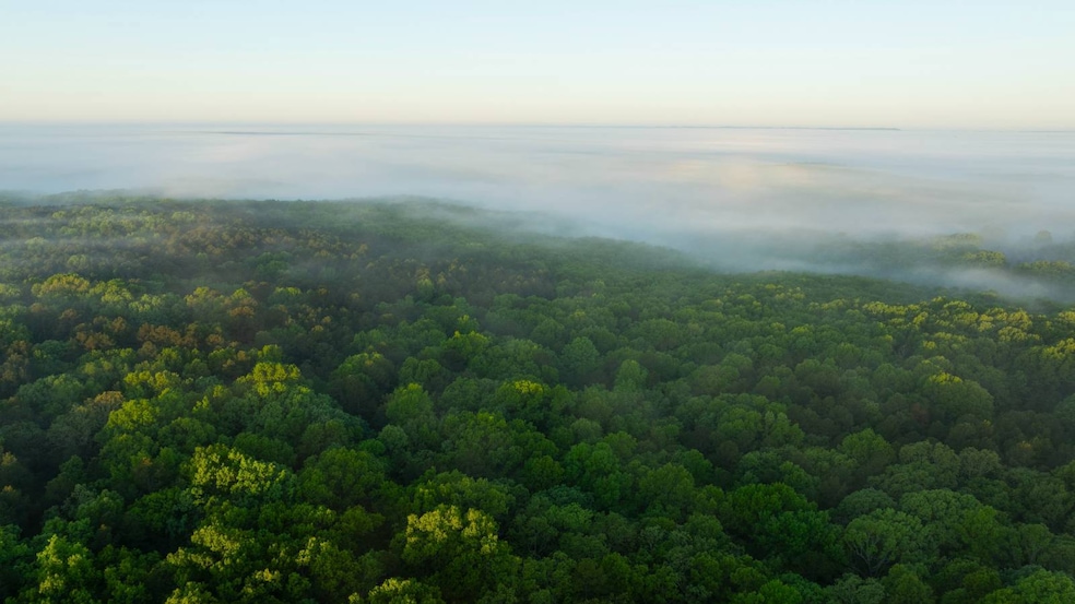 22474 State Hwy N, Squires, MO 65755 - photo 1