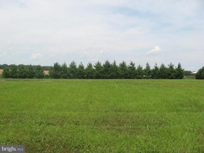 0 Pond Neck Rd unit 1000104531, Earleville, MD 21919 - photo 1