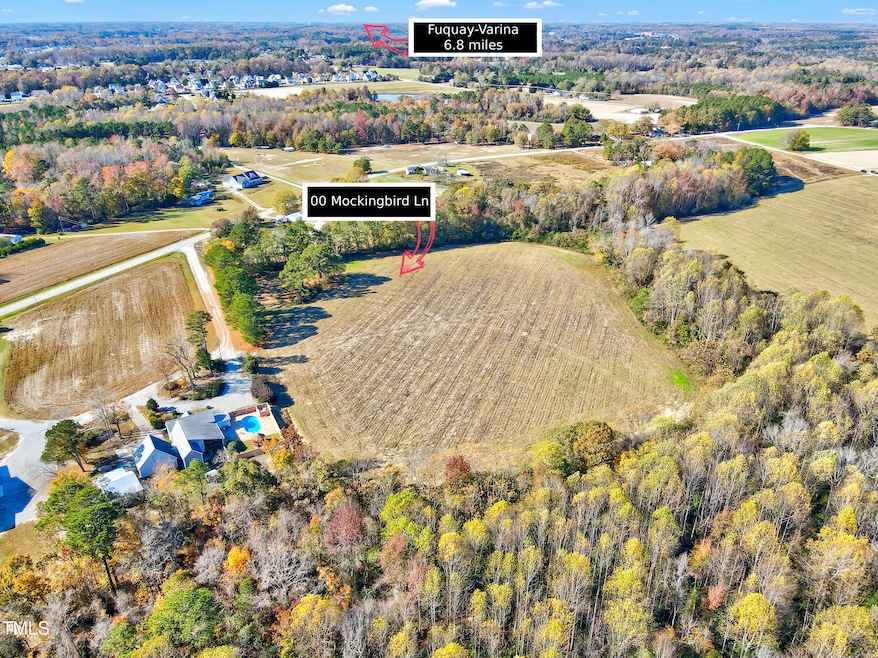 5-00 Mockingbird Ln-7