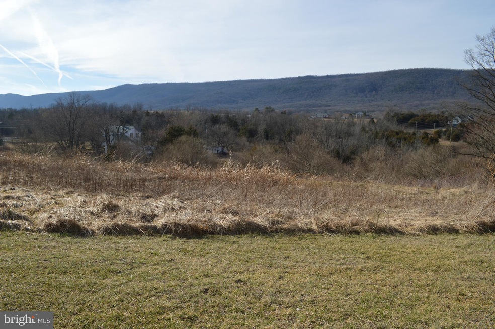 0 Mt Hebron unit 1000168468, Strasburg, VA 22657 - photo 1