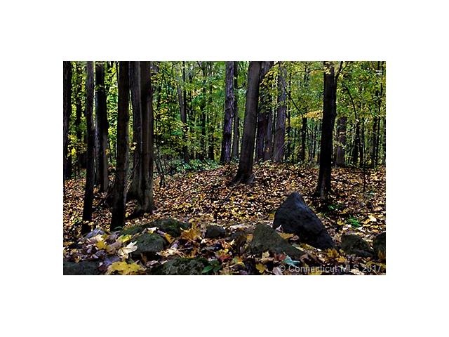 60 Aspinock Rd, Putnam, CT 06260 - photo 1