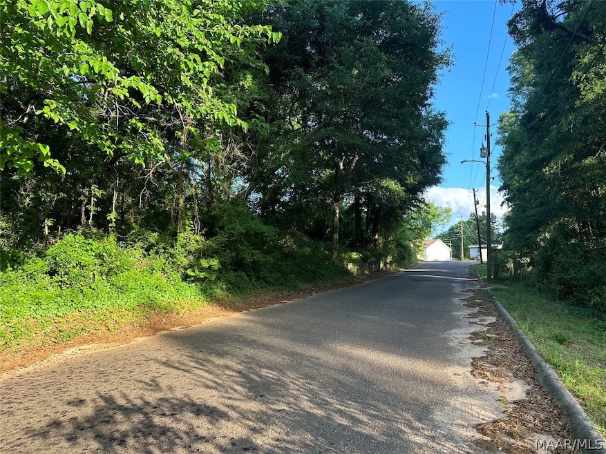 314 Mildred St, Ozark, AL 36360 - photo 1