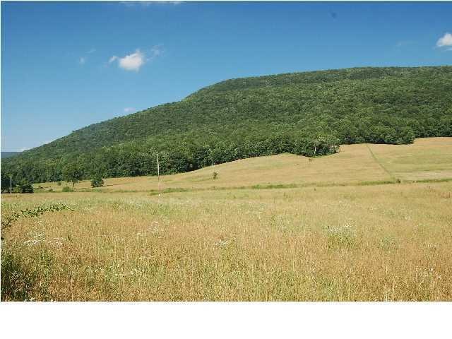 Primary Photo