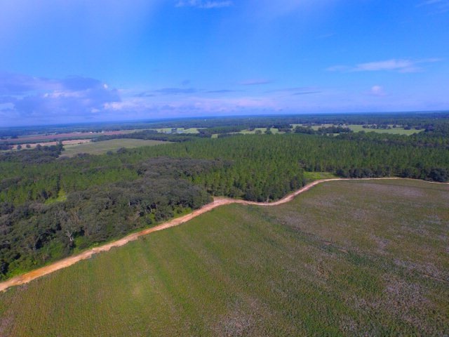 532 Acres Grooverville Rd, Boston, GA 31626 - photo 1