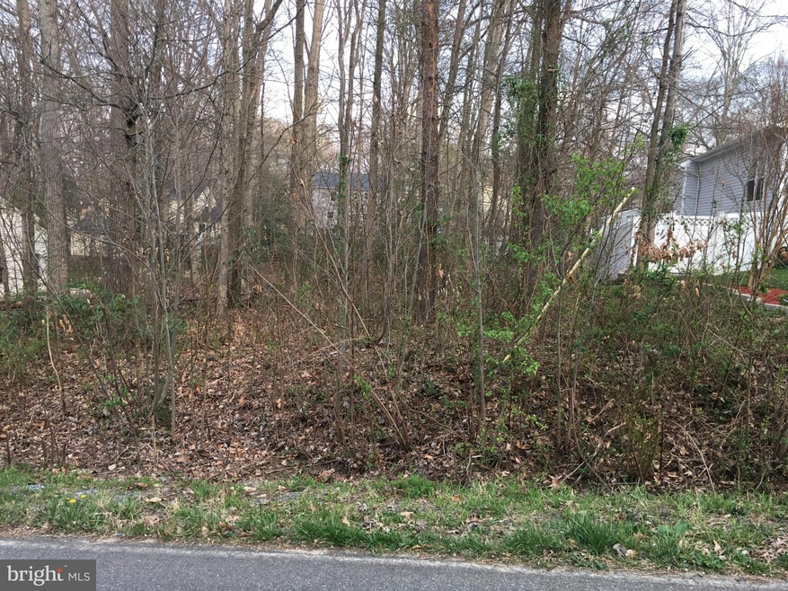 1123 Atlantic Dr, Stafford, VA 22554 - photo 1