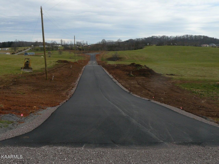 Lot 53 Schertz Ln, Rutledge, TN 37861 - photo 1