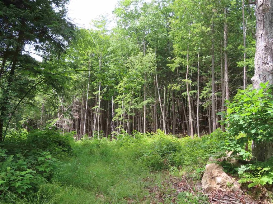 8-1-B Butterfield Hill Rd, Westmoreland, NH 03467 - photo 1