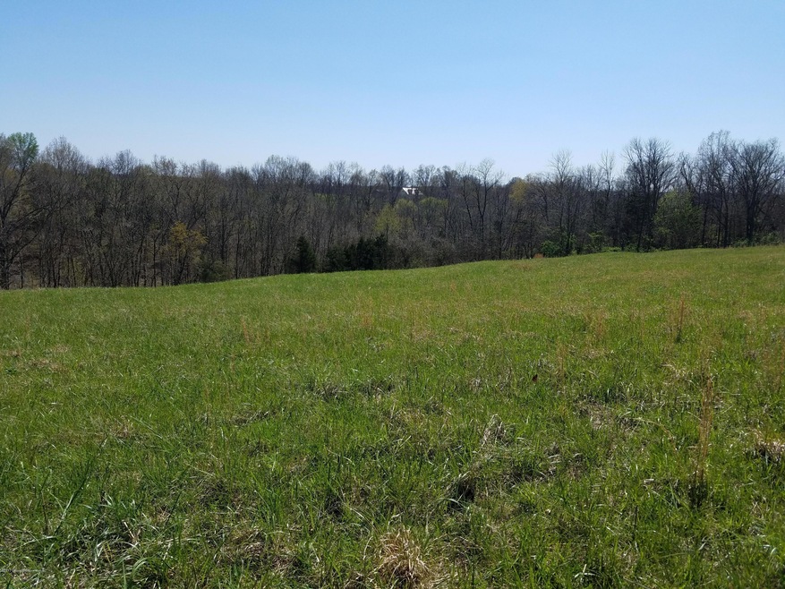 3555 Ashes Creek Rd, Bloomfield, KY 40008 - photo 1