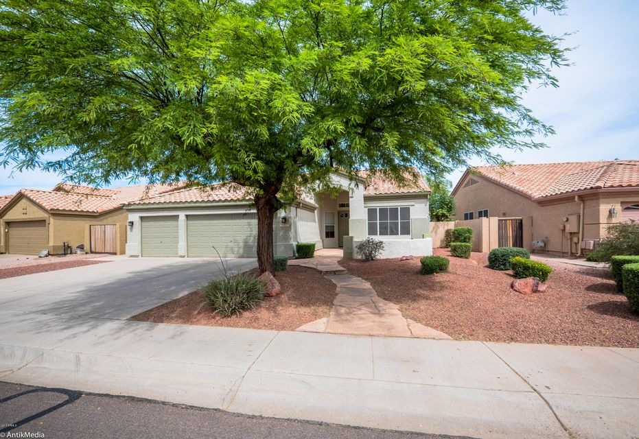 Front Yard