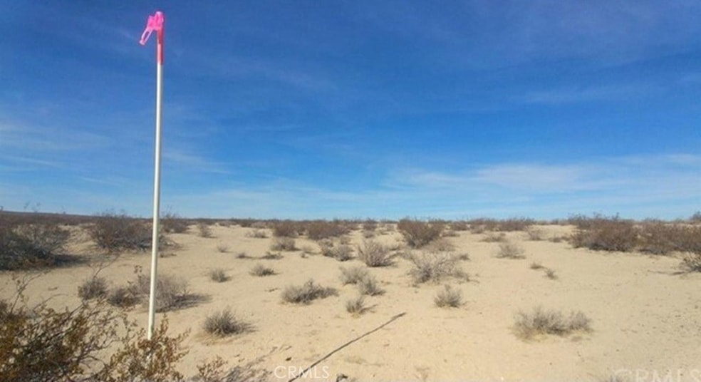 40 Ac Near Diagonal Trail, Helendale, CA 92342 - photo 1