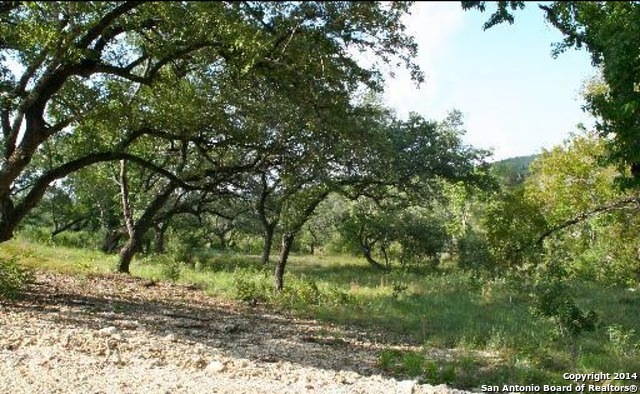 21604 Cielo Ridge Dr, San Antonio, TX 78256 - photo 1