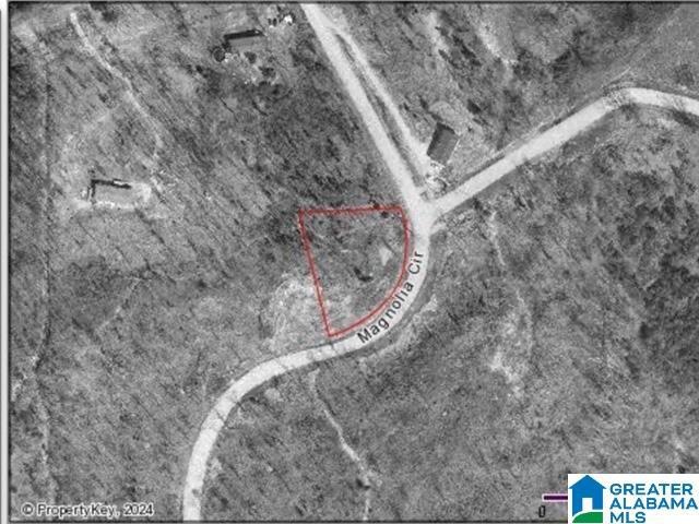 0 Magnolia Cir unit 8 21412500, Cropwell, AL 35054 - photo 1
