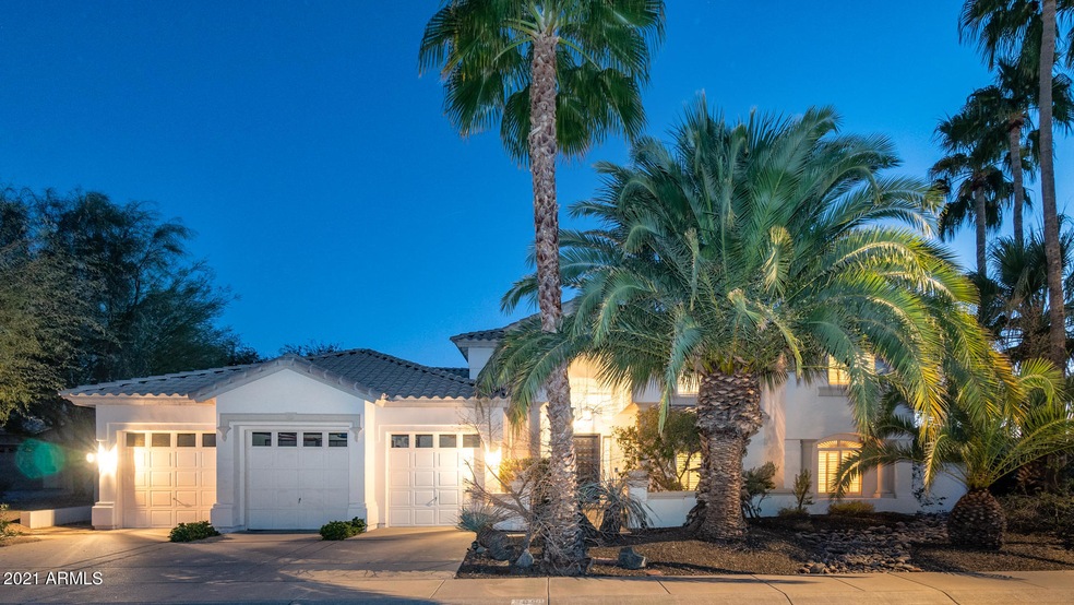 3051 E Rock Wren-2