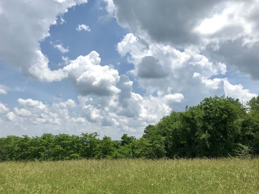 0 Scenic View Ln, Shelbyville, TN 37160 - photo 1