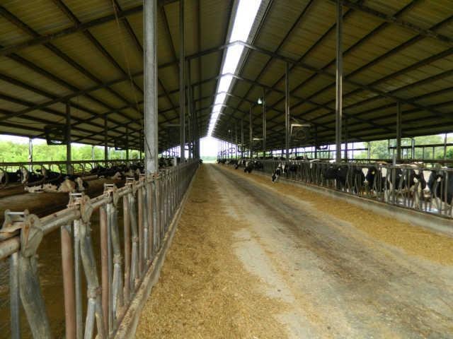 3411 Verona Caney Rd, Lewisburg, TN 37091 - photo 1