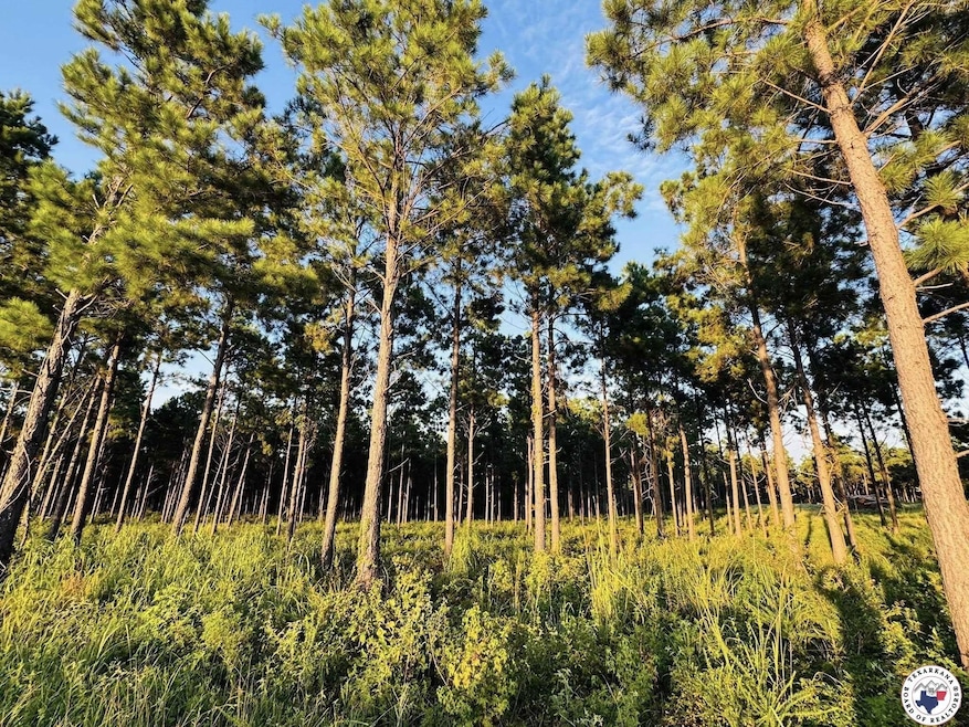 Tbd 3659, Queen City, TX 75572 - photo 1