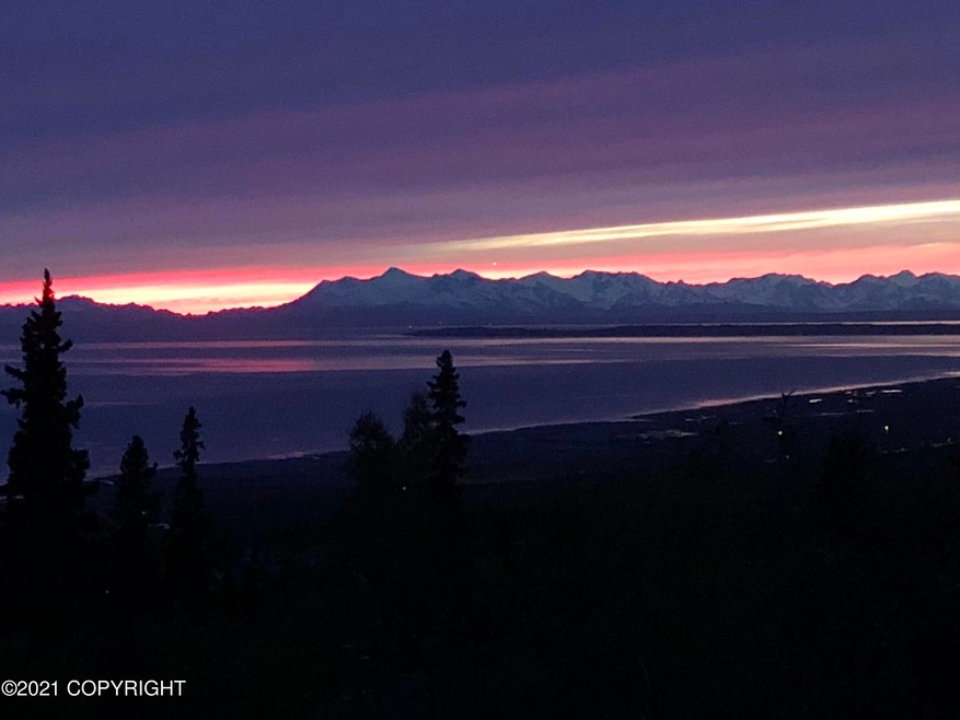 16241 Sandpiper Dr, Anchorage, AK 99516 - photo 1