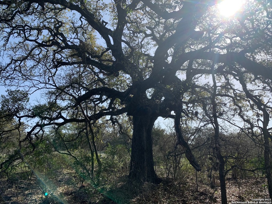 601 County Road 241, Hondo, TX 78861 - photo 1