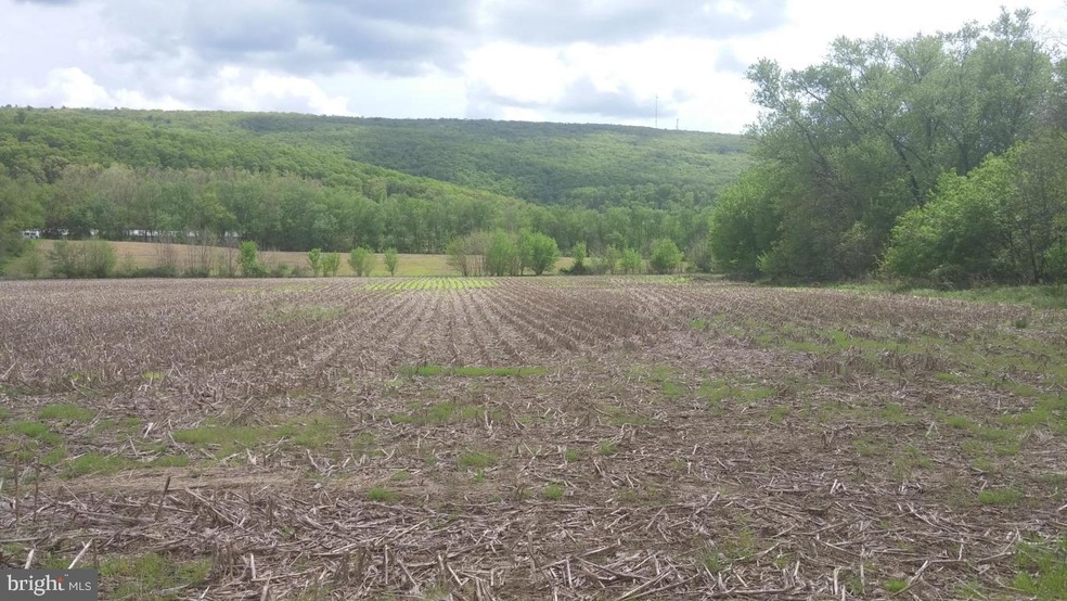 unlisted-address, Milton, PA 17847 - photo 1