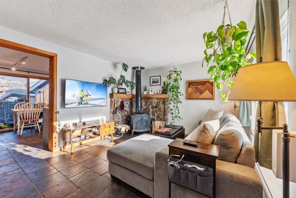 342 W 4th St unit 342, Silverthorne, CO 80498 - photo 1