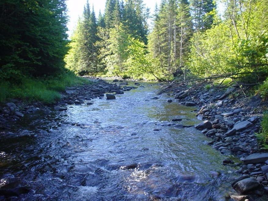 152 Deadwater Loop, Clarksville, NH 03592 - photo 1