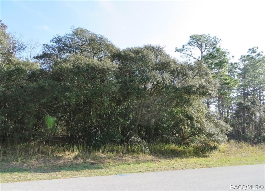 Lot from Street
