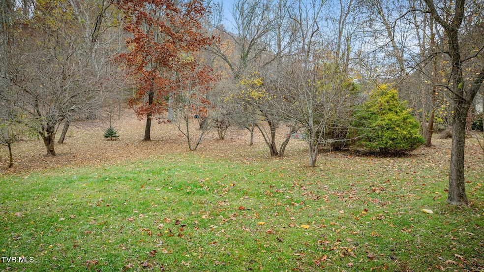 115 Mays Rd, Elizabethton, TN 37643 - photo 1