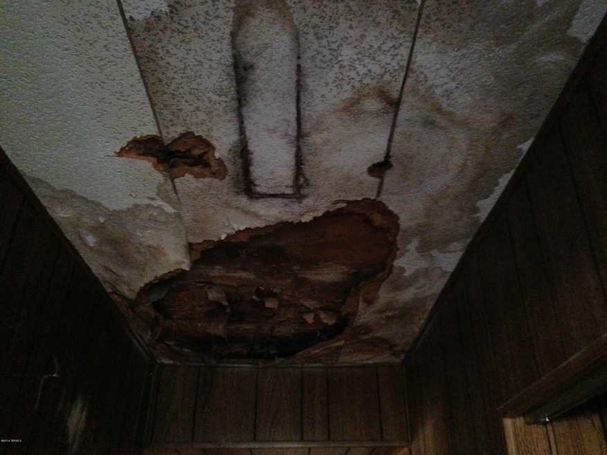 Elm Tree Lane Pictures 006