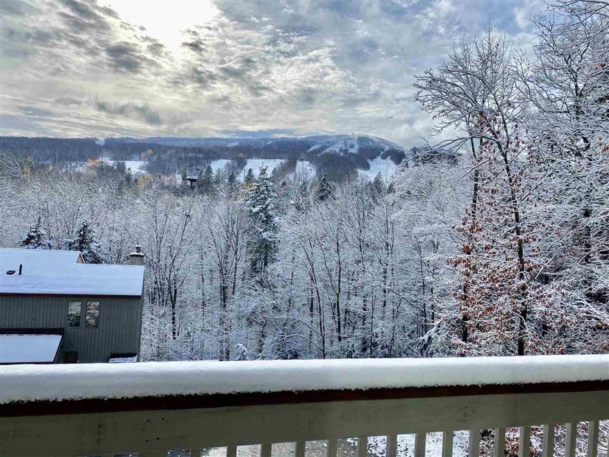 17L Snow Tree Ln unit L, Dover, VT 05356 - photo 1