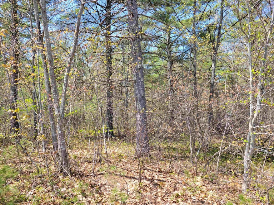 Lot 6 Pemmigewasset Dr, Conway, NH 03818 - photo 1