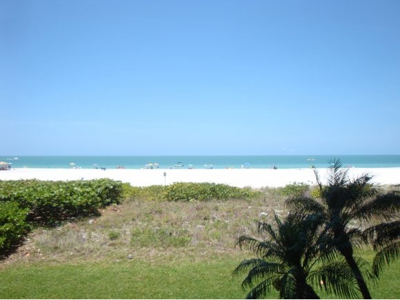 Beach View