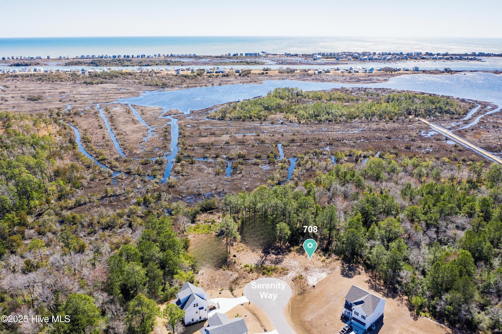 708 Serenity Way, Sneads Ferry, NC 28460 - photo 1