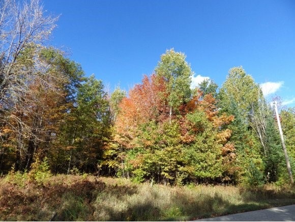 0 E Winesville Rd, Porterfield, WI 54159 - photo 1