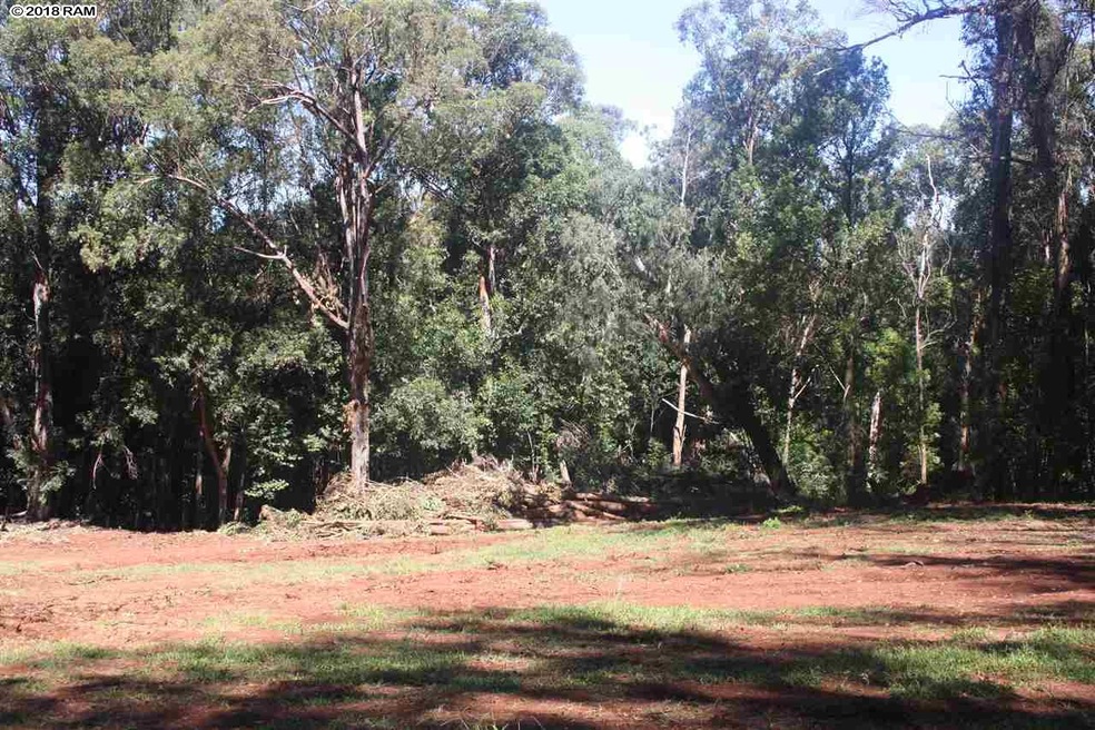 125 Ehu Rd unit E, Makawao, HI 96768 - photo 1