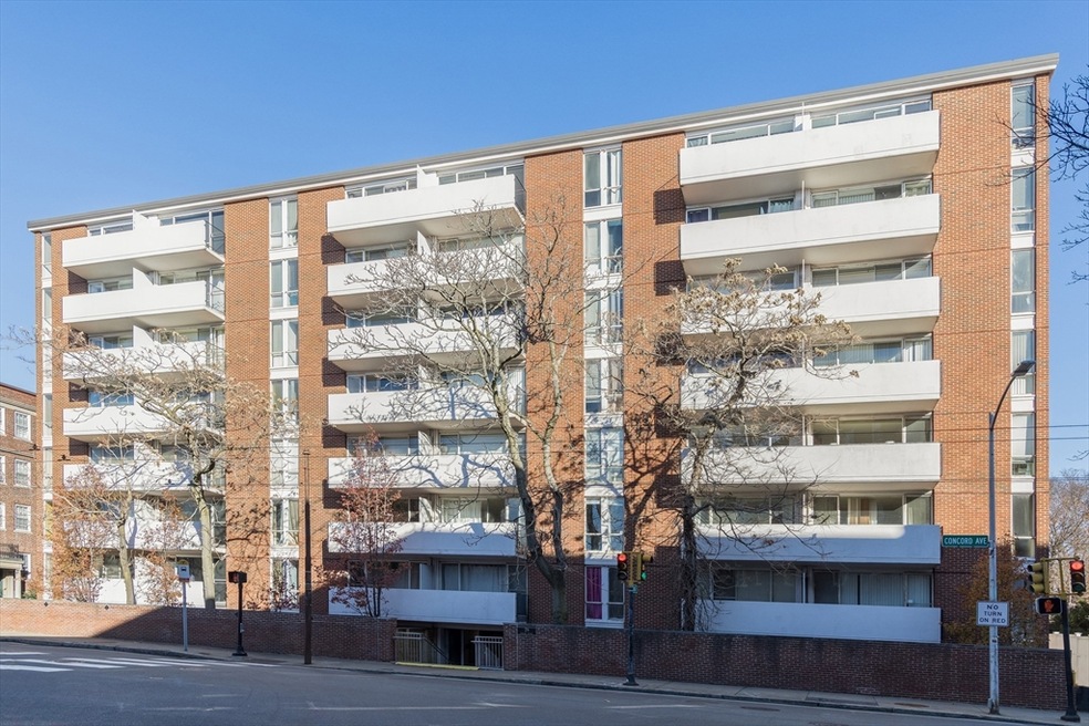29 Concord Ave unit 303, Cambridge, MA 02138 - photo 1